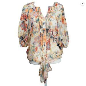 Buffalo Sheer Top Romantic Feminine Balloon Sleeve Watercolor Peasant Blouse